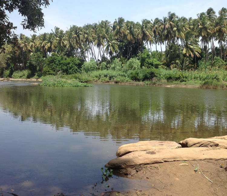 amaravati river tamilnadu
